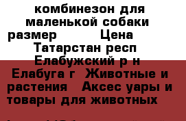 комбинезон для маленькой собаки. размер 14, L › Цена ­ 350 - Татарстан респ., Елабужский р-н, Елабуга г. Животные и растения » Аксесcуары и товары для животных   